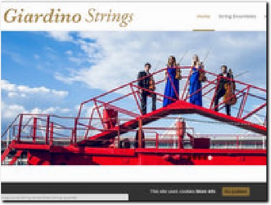 https://giardinostrings.com/ website